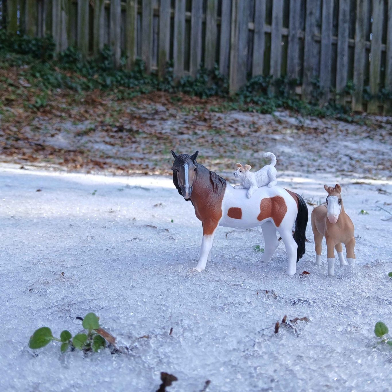 Two toy horses and a dog on a snowy surface, with a wooden fence in the background.
